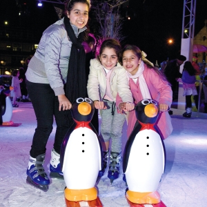 Ice Pal Penguins - Sydney Ice Skating