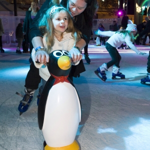 Ice Pal Penguins - Sydney Ice Skating